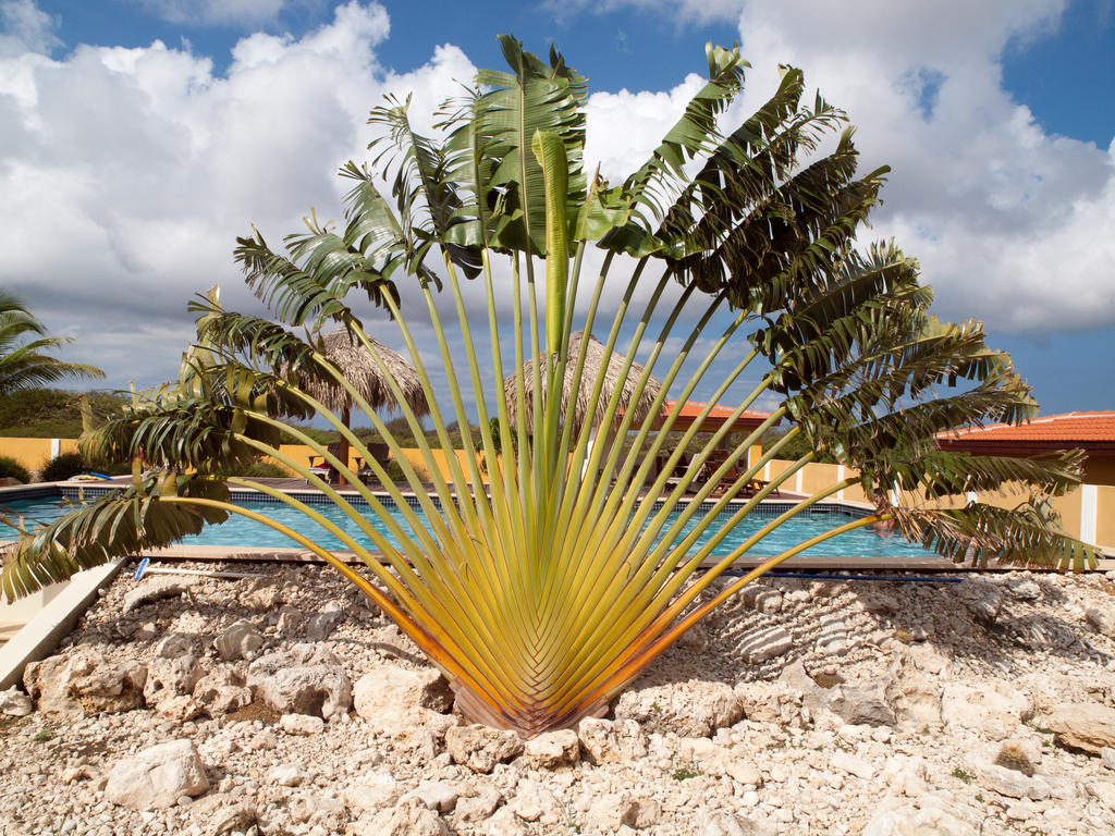 Wanapa Lodge Bonaire Exterior photo